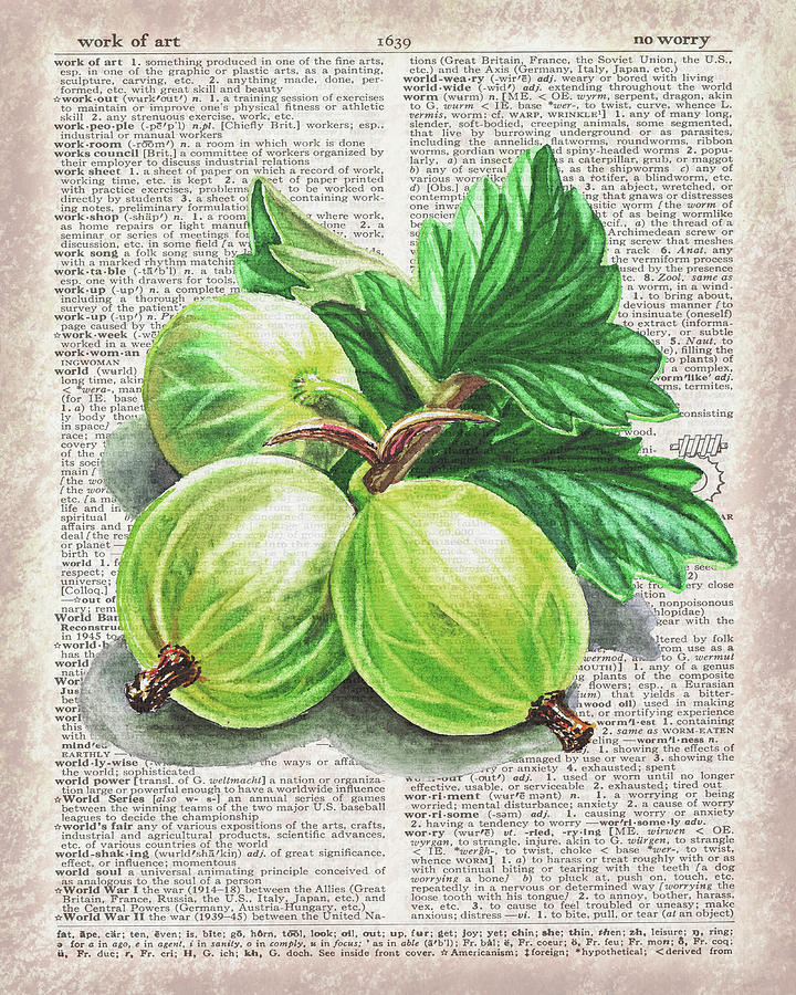 Watercolor Of Green Goosberries On Dictionary Page Work Of Art Painting by Irina Sztukowski