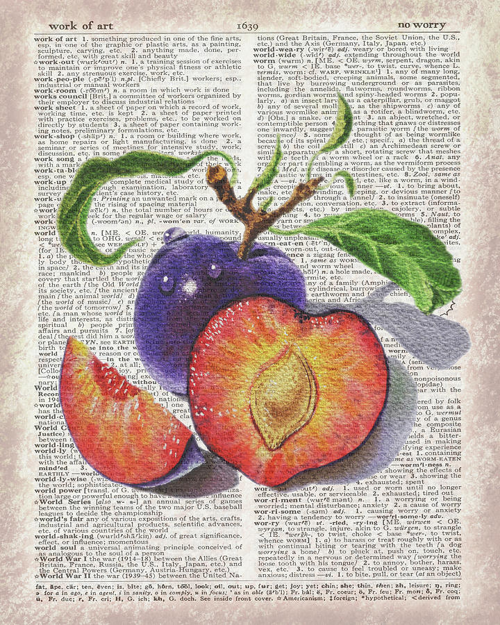 Watercolor Of Plum On Dictionary Page Work Of Art Painting by Irina Sztukowski