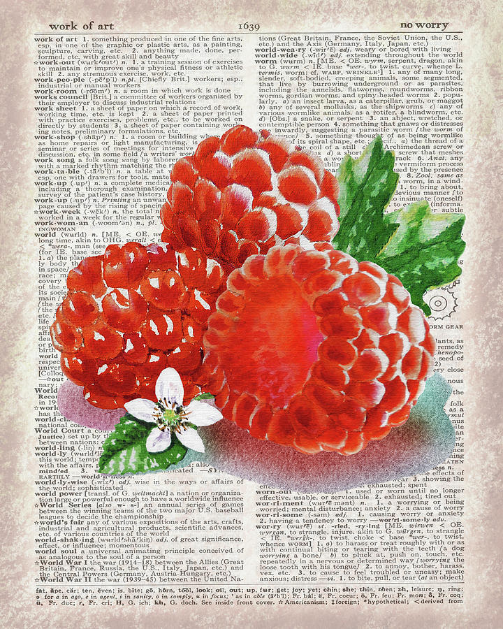 Watercolor Of Raspberry On Dictionary Page Work Of Art Painting by Irina Sztukowski
