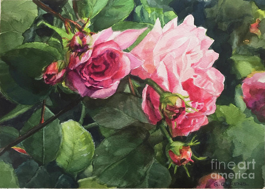 Watercolor of Three Pink Roses in the Sun Painting by Greta Corens