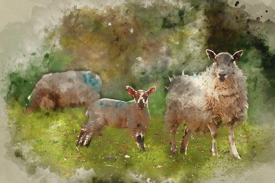 Watercolor Painting Of Spring Lamb And Ewe Mother In Spring Rural Farm Landscape Digital Art