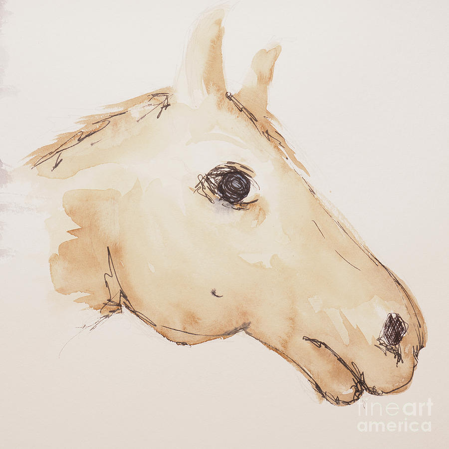Watercolor painting portrait of a Trakehner Painting by Andreas Berheide
