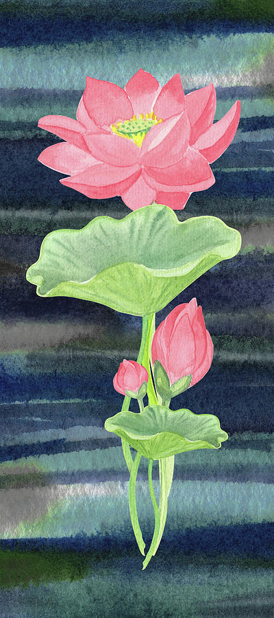 Watercolor Pink Lotus Flower On Deep Blue Water Painting