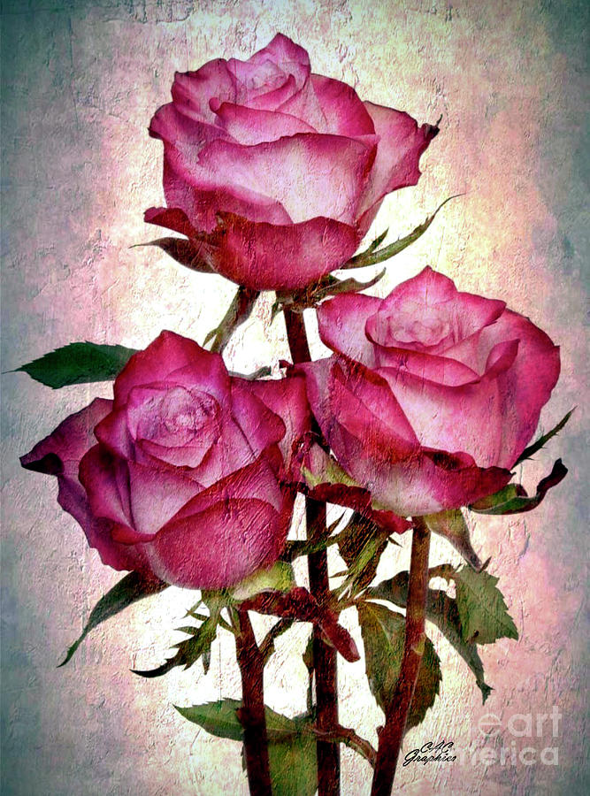 Watercolor Pink Roses Painting by CAC Graphics