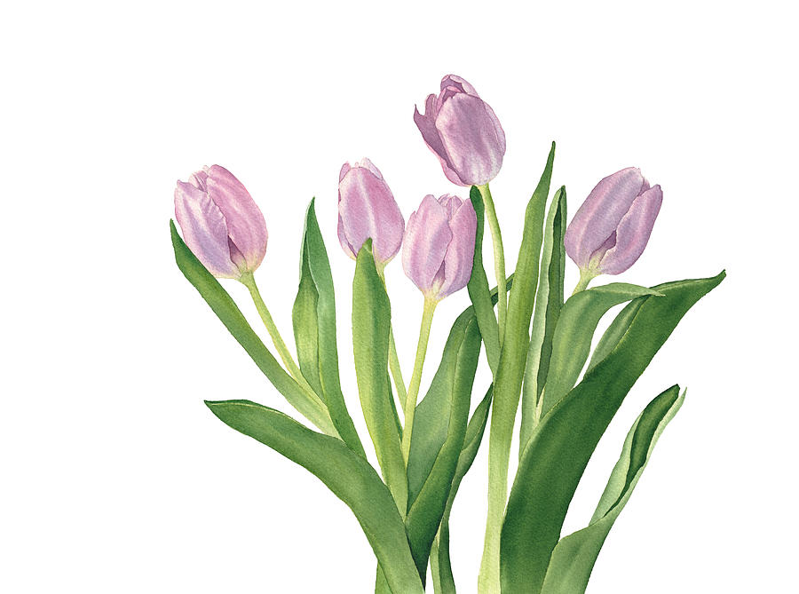 Watercolor pink tulips Painting by Inna Patiutko - Fine Art America