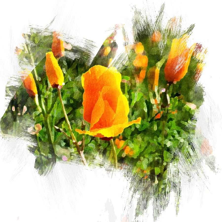 Watercolor Poppies Digital Art by Rebecca Herranen