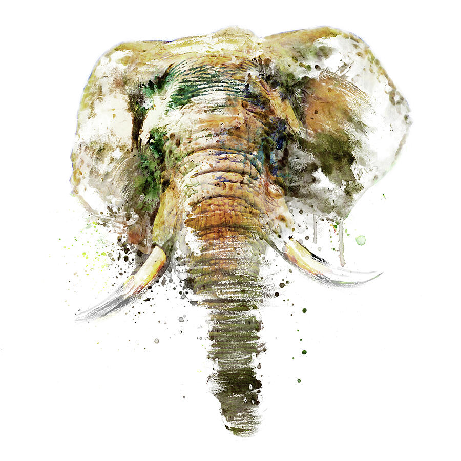 Watercolor Portrait - African Elephant Head Painting by Marian Voicu