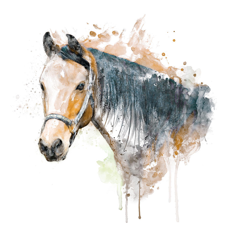 Watercolor Portrait - Brown Horse Head Painting by Marian Voicu