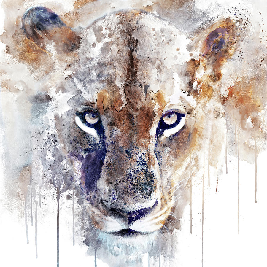 Watercolor Portrait - Lioness Hypnotizing Eyes Staring Back at You Painting by Marian Voicu