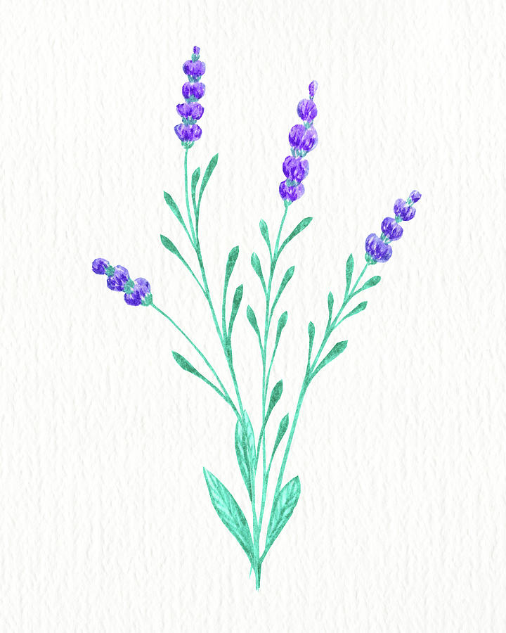 Watercolor Purple Wildflower Lavender Simple Grace Floral Beauty  Painting by Irina Sztukowski