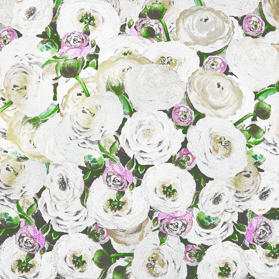 Watercolor Ranunculus Flowers In Soft Pink And White Painting by Irina Sztukowski