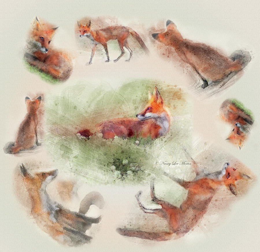 Watercolor Red Foxes on a Cream Background Mixed Media by Nancy Lee Moran