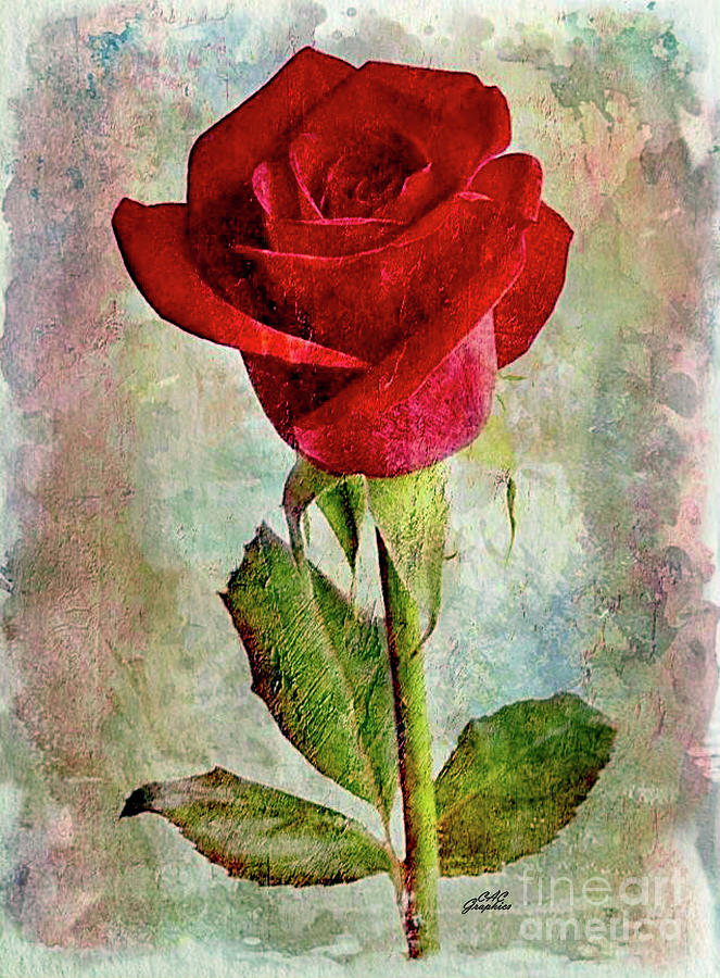 Watercolor Red Rose 2 Digital Art by CAC Graphics