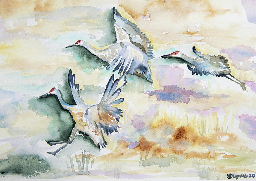 Watercolor - Sandhill Cranes in Flight Painting by Cascade Colors
