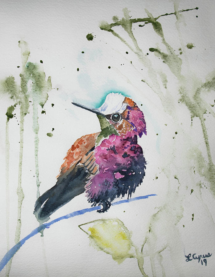 Watercolor  - Snow capped Hummingbird Painting by Cascade Colors