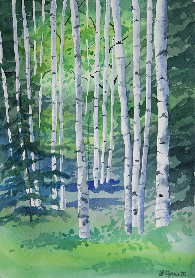 Watercolor - Spring Aspen Trees Painting by Cascade Colors