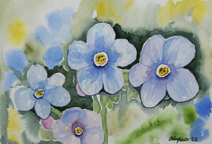Watercolor - Stickseed Forget-me-not Blooms Painting by Cascade Colors