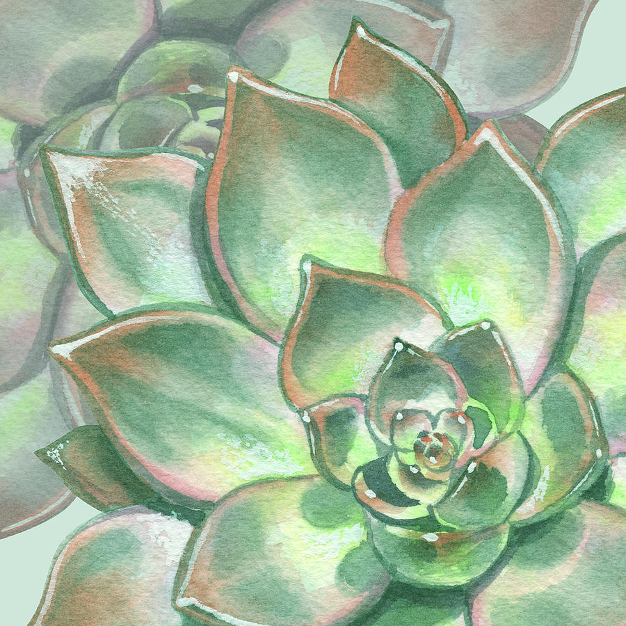 Abstract Painting - Watercolor Succulent Plant Botanical Dessert Floral On Soft Green Art Decor IV by Irina Sztukowski