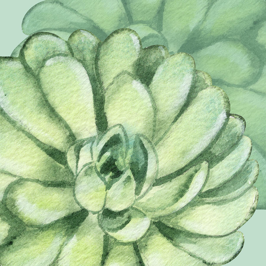 Watercolor Succulent Plant Botanical Dessert Floral On Soft Green Art Decor V Painting by Irina Sztukowski