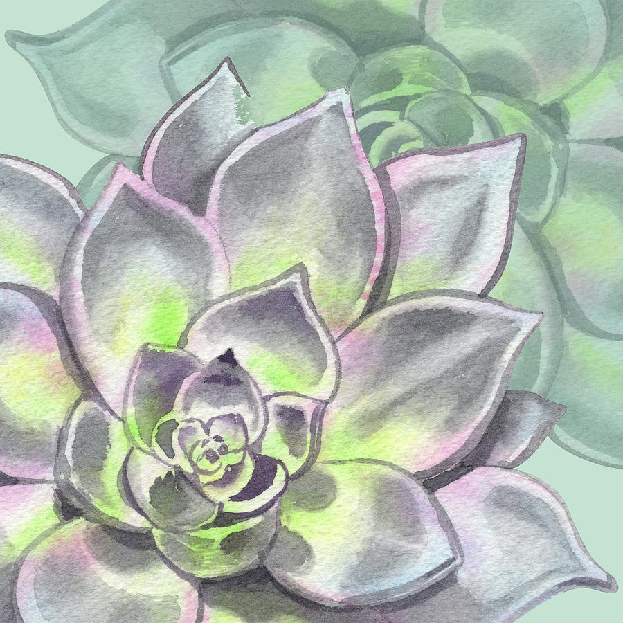 Watercolor Succulent Plant Botanical Dessert Floral On Soft Green Art Decor VI Painting by Irina Sztukowski