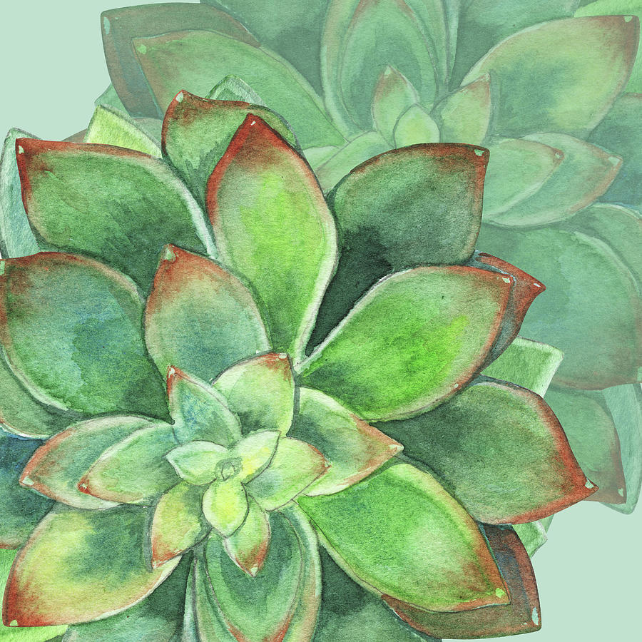 Abstract Painting - Watercolor Succulent Plant Botanical Dessert Floral On Soft Green Art Decor VII by Irina Sztukowski