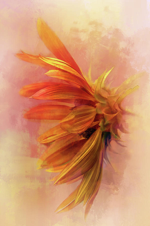 Watercolor Sunflower Digital Art by Terry Davis