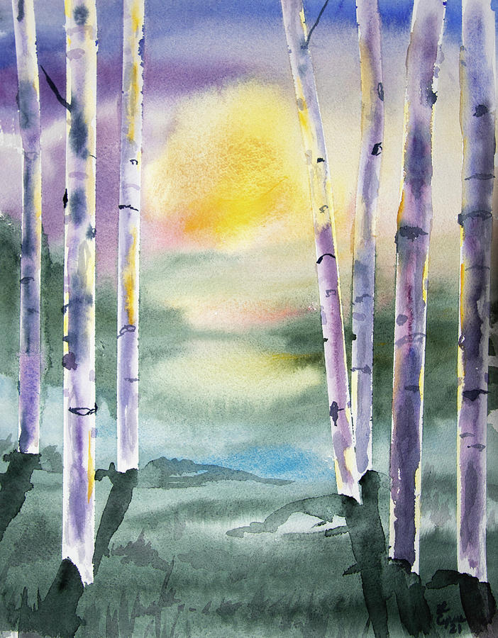 Watercolor - Sunrise Through Birch Painting by Cascade Colors