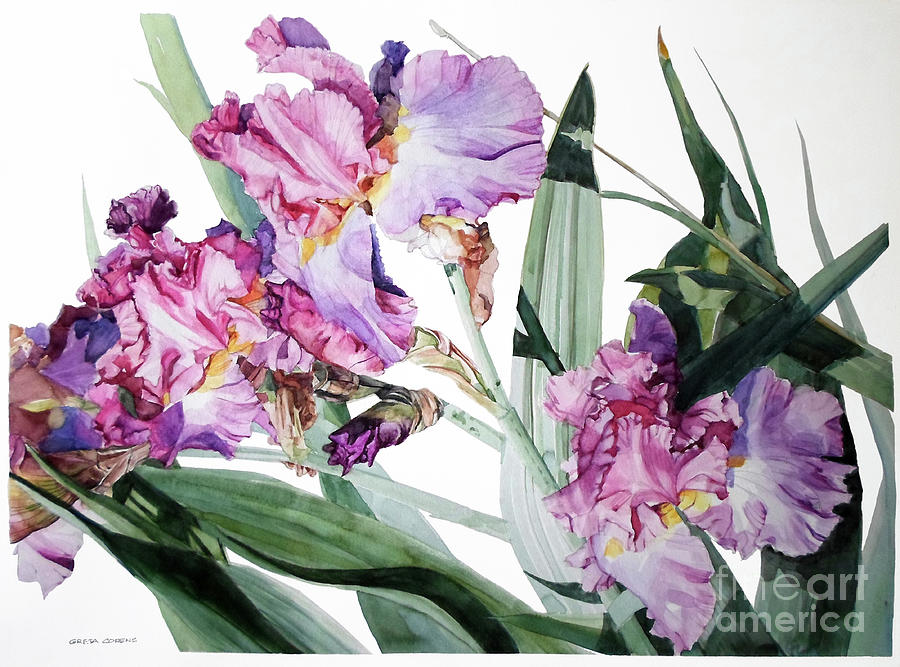 Watercolor of lilac and pink irises leaning into the sun Painting by Greta Corens