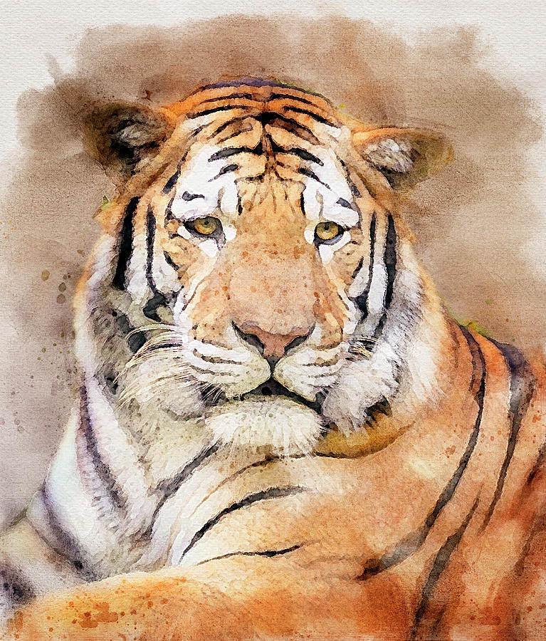 Watercolor Tiger Photograph by Melinda Marconi - Fine Art America