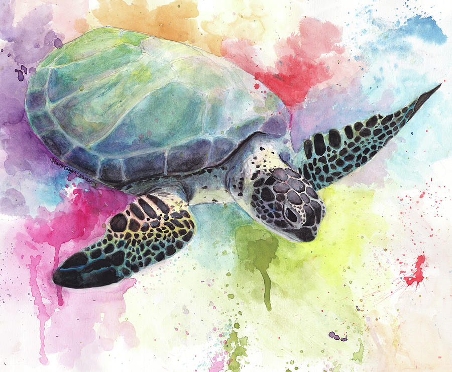 Watercolor Turtle Photograph by Gretchen Valencic - Fine Art America