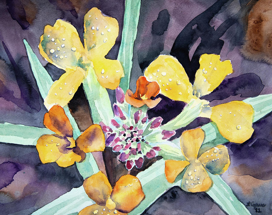 Watercolor - Western Wallflower Blooms with Dew Painting by Cascade Colors