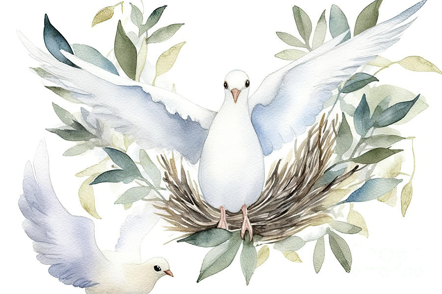 Dove Painting - Watercolor white dove and olive branches. Hand drawn watercolor  by N Akkash