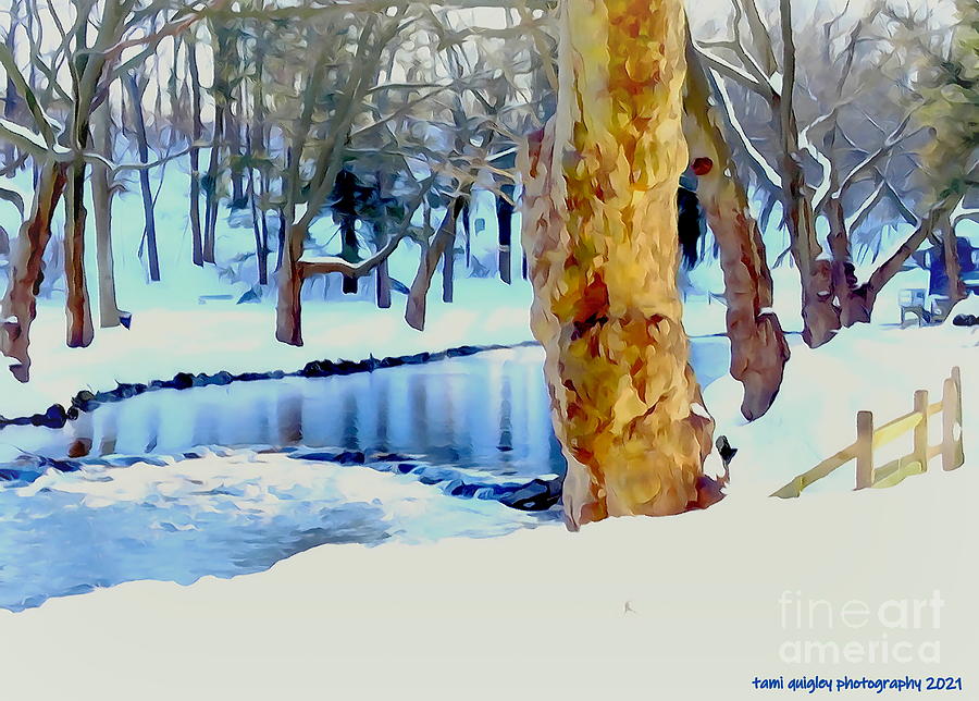 Watercolor Winter Photograph