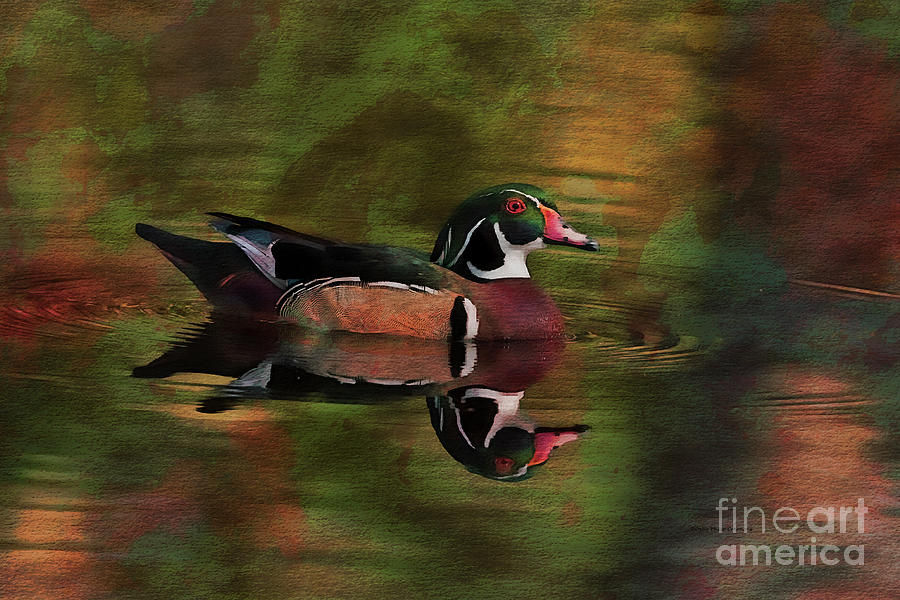 Watercolor Wood Duck Painting