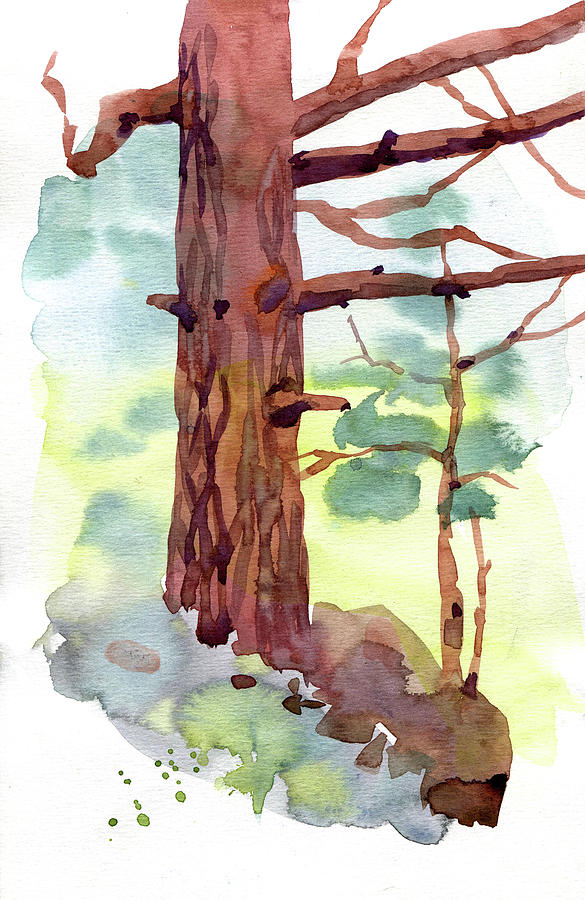 Watercolor Wood Trees Scenery Painting Digital Art by Sambel Pedes