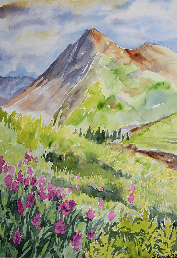 Watercolor - Yankee Boy Basin Mountain and Rosy Paintbrush Meadow Painting by Cascade Colors