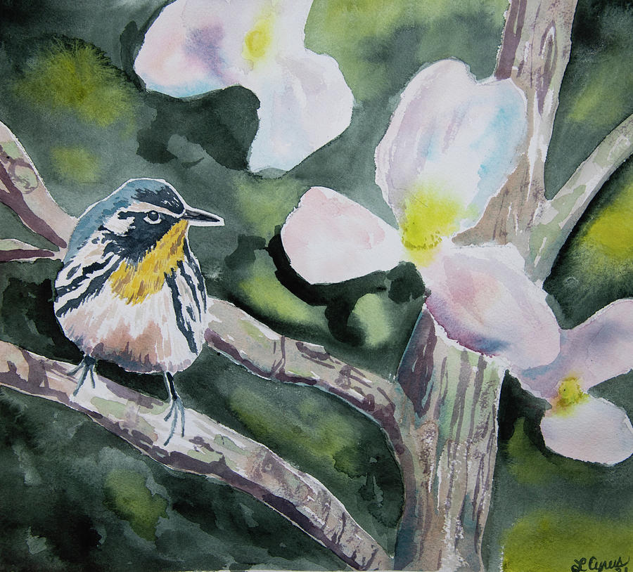 Watercolor - Yellow-throated Warbler with Magnolia Painting by Cascade Colors