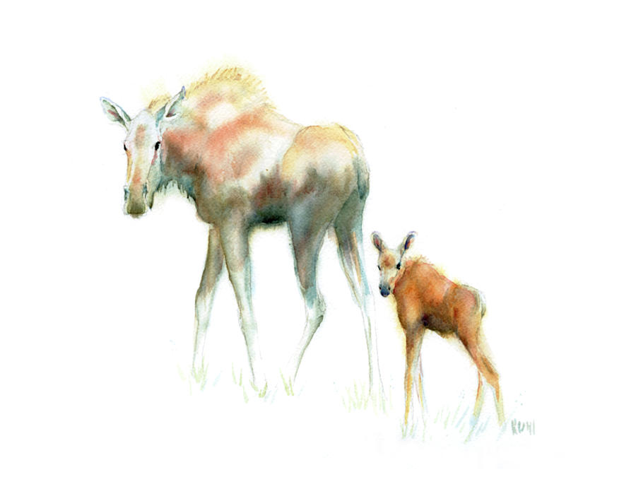 Moose Photograph - Watercolour of a moose and her calf by Phil And Karen Rispin