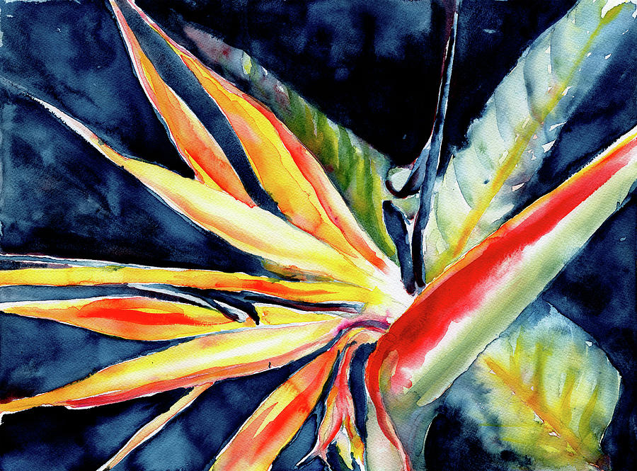 Flowers Still Life Photograph - Watercolour of bird-of-paradise flower  by Phil And Karen Rispin
