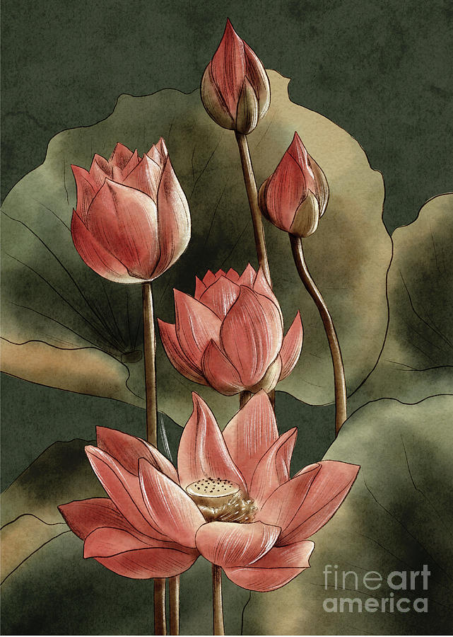 Watercolour Pink Lotus, Water Lily Flower Digital Art by Amusing DesignCo