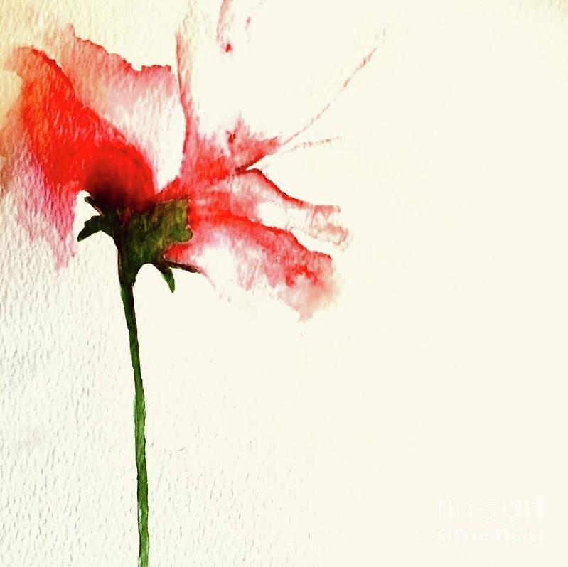 Watercolour Poppy Painting by Sharron Knight