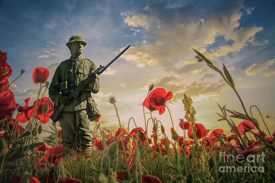 Watercolour Remembrance Day Photograph by Alison Chambers - Fine Art ...