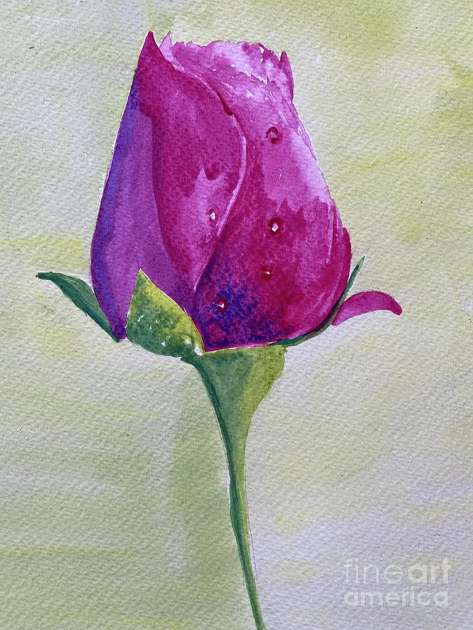 Watercolour Rose bud Painting by Sharron Knight