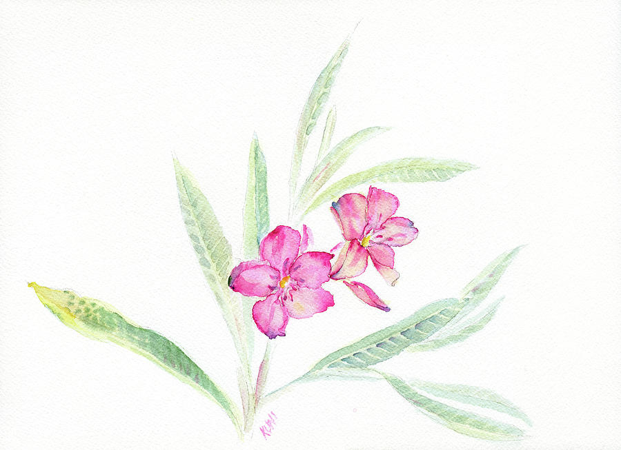 Flowers Still Life Photograph - Watercolour Sketch Of Oleander Flowers by Phil And Karen Rispin