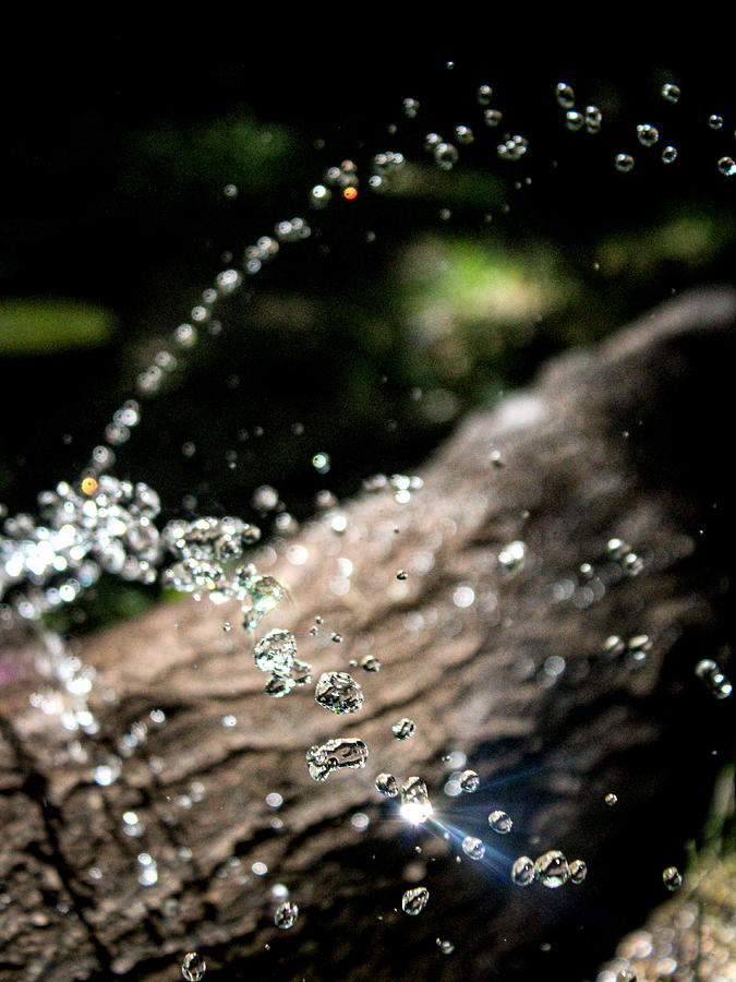 Waterdrops, Log, Flare Photograph by W Craig Photography
