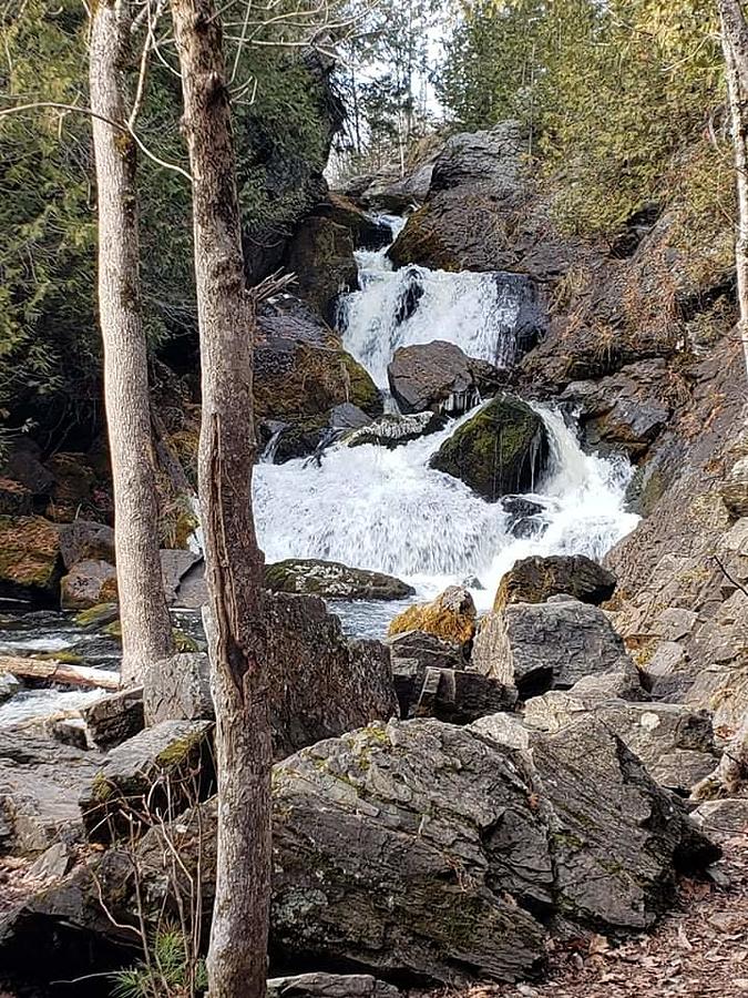 Waterfall 1 Photograph by Sabrina Baumgartner - Fine Art America