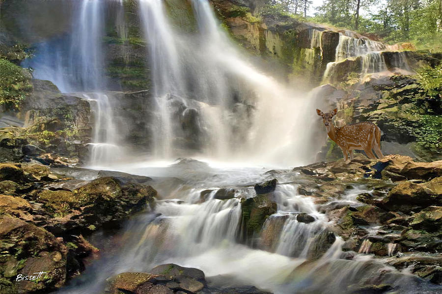 Waterfall - 6 Digital Art by Robert Bissett