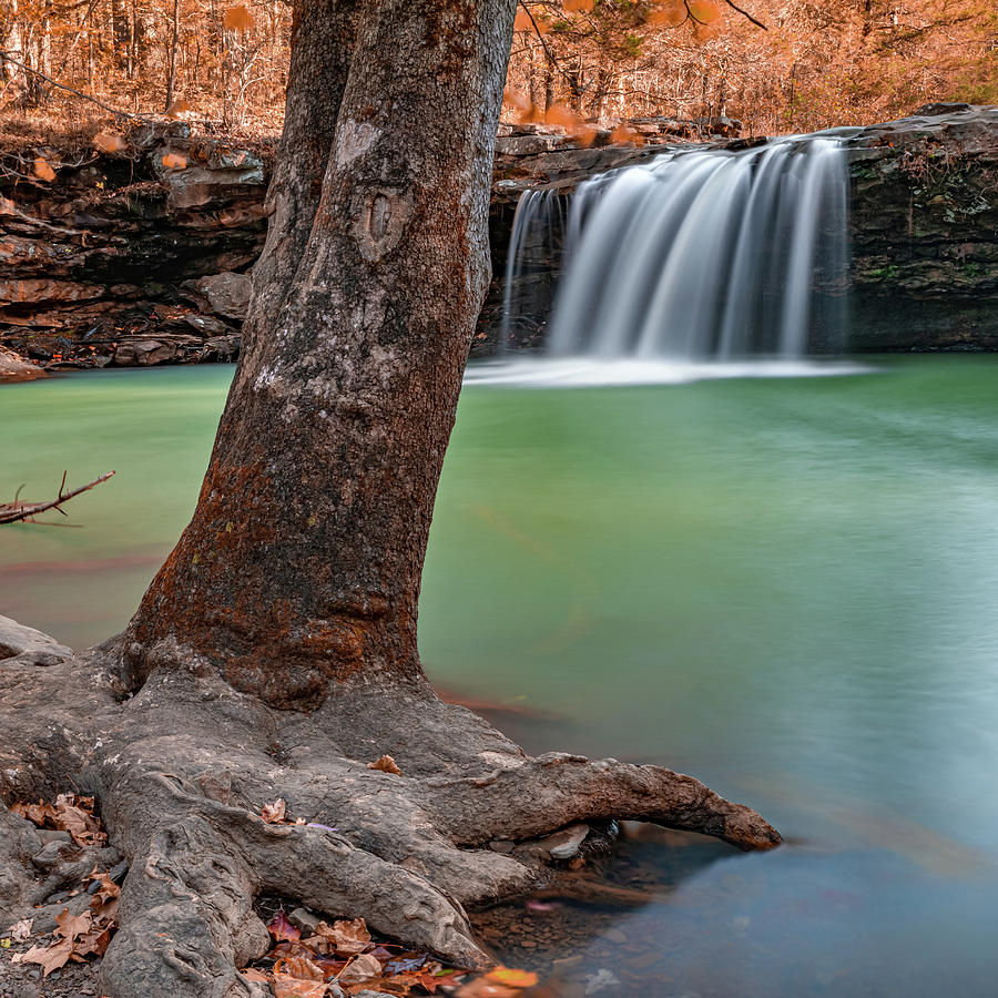 Waterfall Along Falling Water Creek - Arkansas Richland Creek Wilderness Photograph by Gregory Ballos