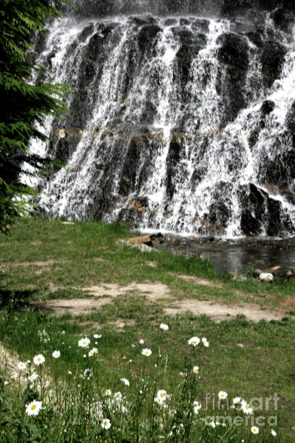 Waterfall and Flowers Photograph by Mary Mikawoz