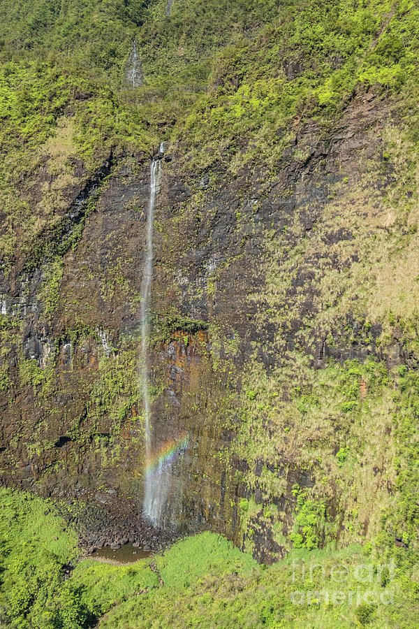 Tree Photograph - Waterfall and Misty Rainbow in the Sun on Kauai, Hawaii by Nancy Gleason